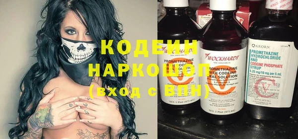 индика Кодинск