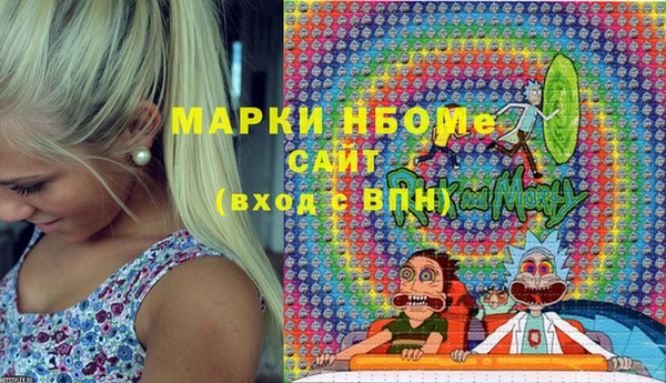 прущие грибы Новый Уренгой